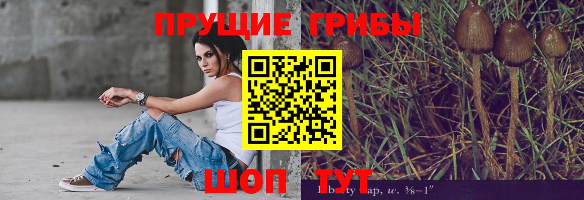Псилоцибиновые грибы мухоморы  где продают наркотики  Южно-Сахалинск  Вход с VPN  Псилоцибиновые грибы ЛСД 
